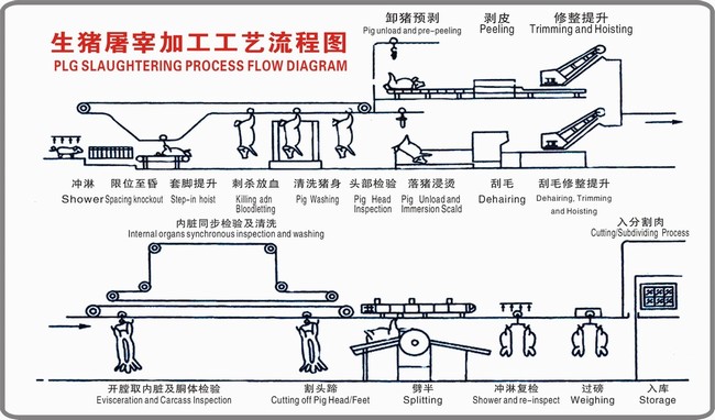 生豬屠宰設(shè)備加工工藝流程（圖）