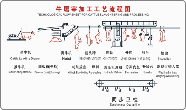 牛屠宰設(shè)備加工工藝流程（圖）